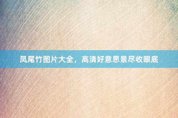 凤尾竹图片大全,高清好意思景尽收眼底