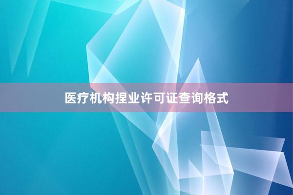 医疗机构捏业许可证查询格式