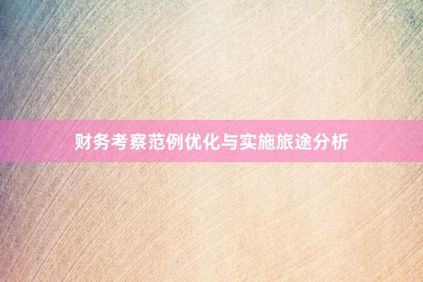 财务考察范例优化与实施旅途分析